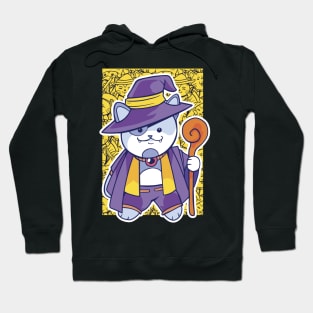 D&D Wizard Class Kawaii Cat Hoodie